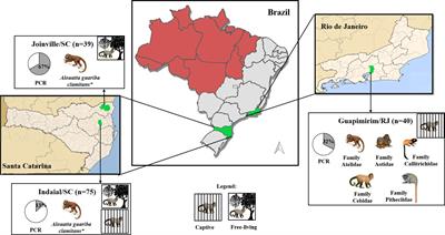 Profiling Humoral Immune Response Against Pre-Erythrocytic and Erythrocytic Antigens of Malaria Parasites Among Neotropical Primates in the Brazilian Atlantic Forest